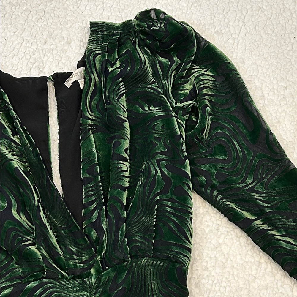 Ronny Kobo Astrid Dress size Small Burnout Velvet Green Black Silk Blend - Picture 5 of 16